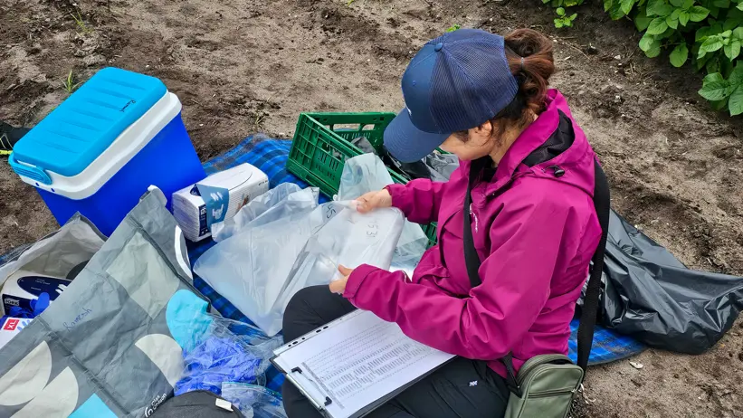 A person sits on the ground in a field with protocols and plastic bags. Photo.