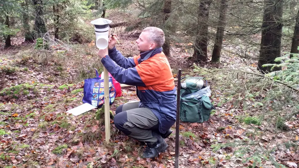 man gör försök i skogen