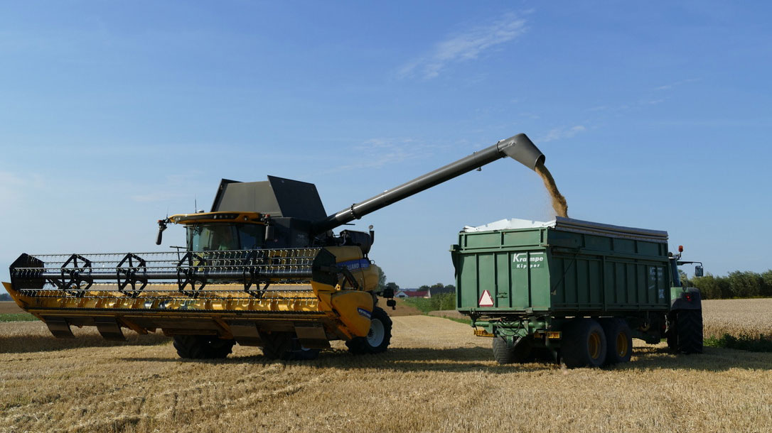 Harvester filling wagon with grain