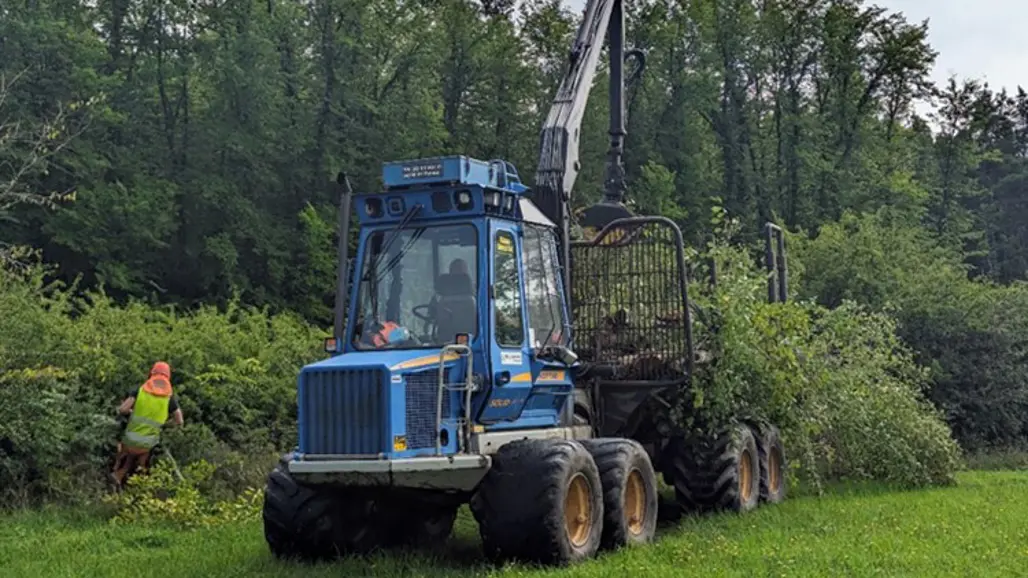 Skogsarbetare i varselväst och blå skogsmaskin lassad med träd. Foto