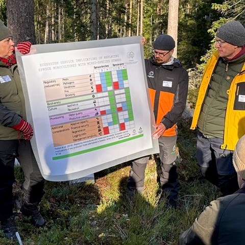 Föreläsning i skogen
