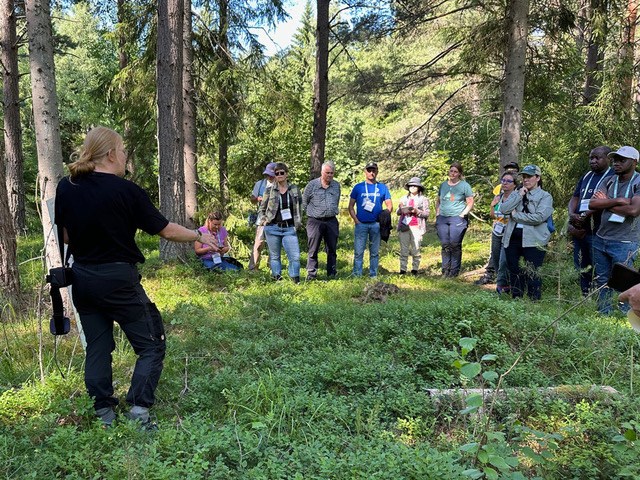 forskaren i skogen