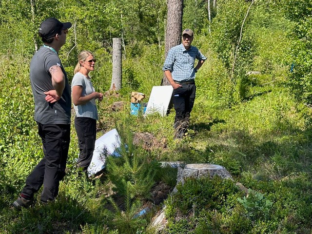 forskare i skogen