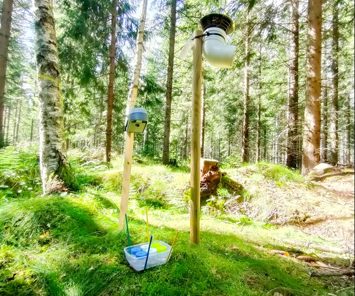 forskningsutrustning i skogen