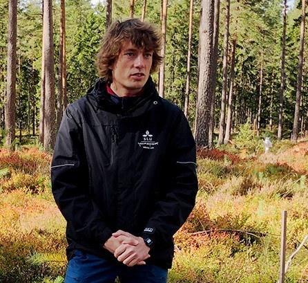 man i skogen