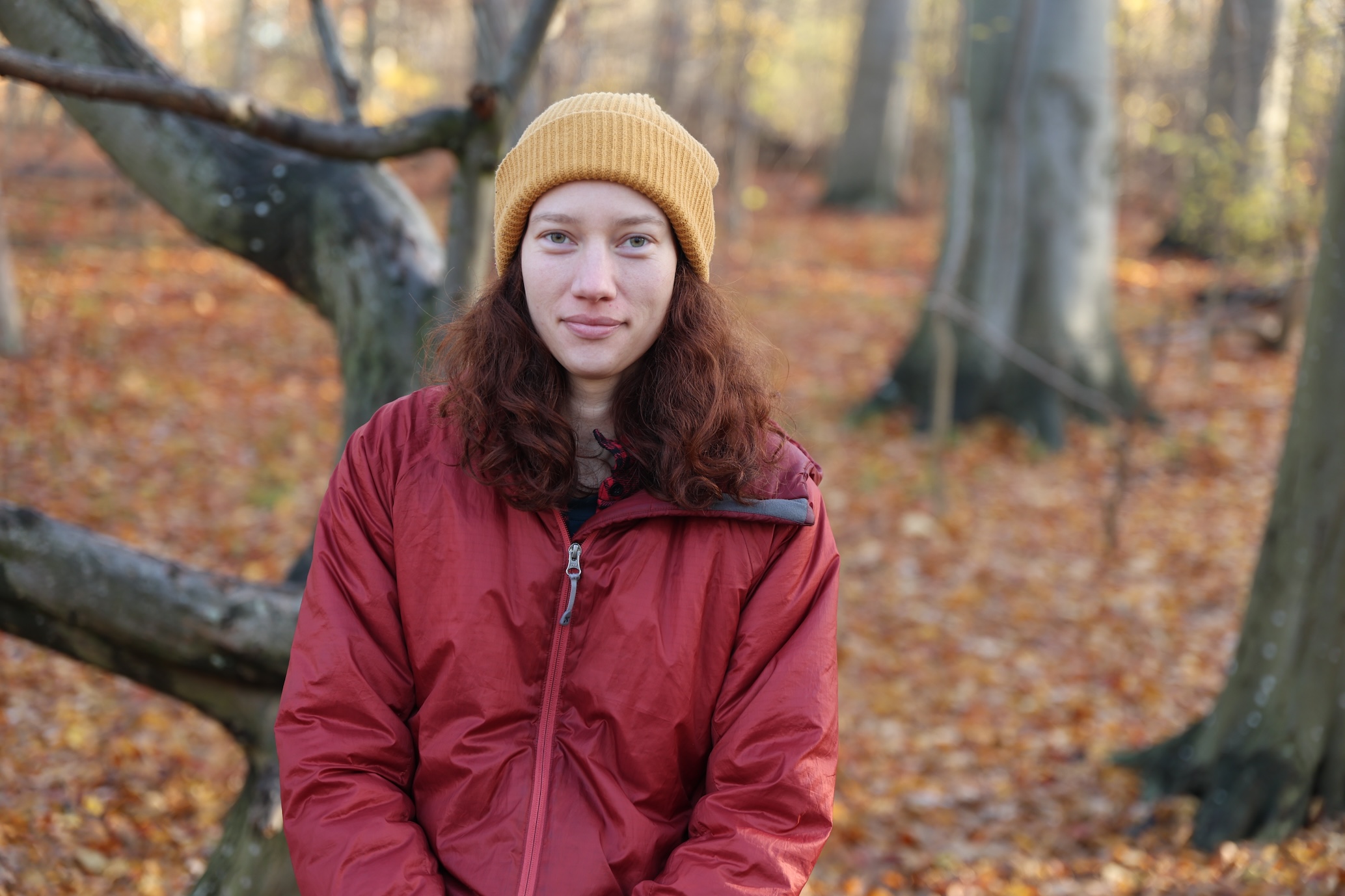 woman sitting on a tree branch
