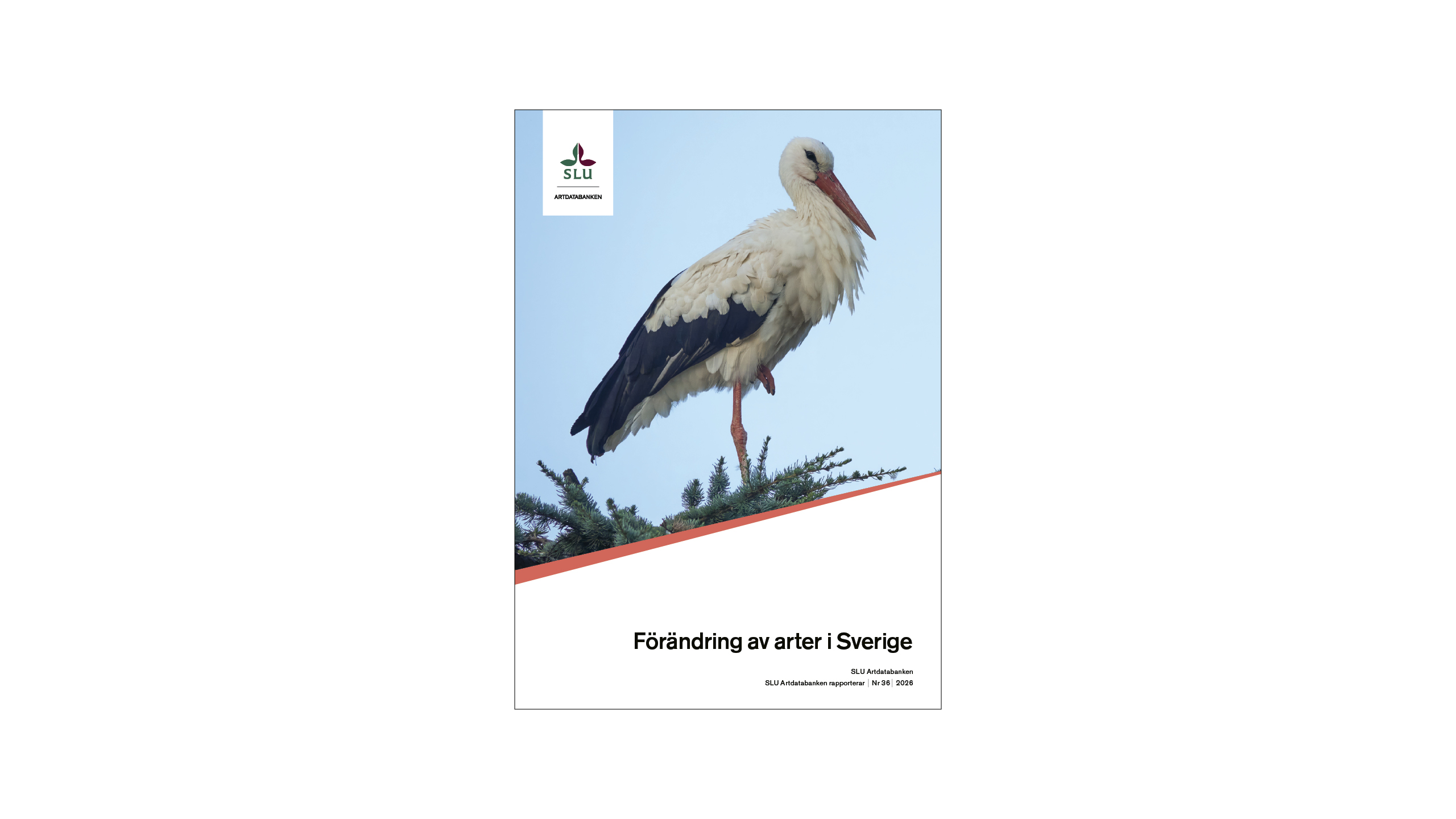 Framsida av rapport med bild av stork. Foto