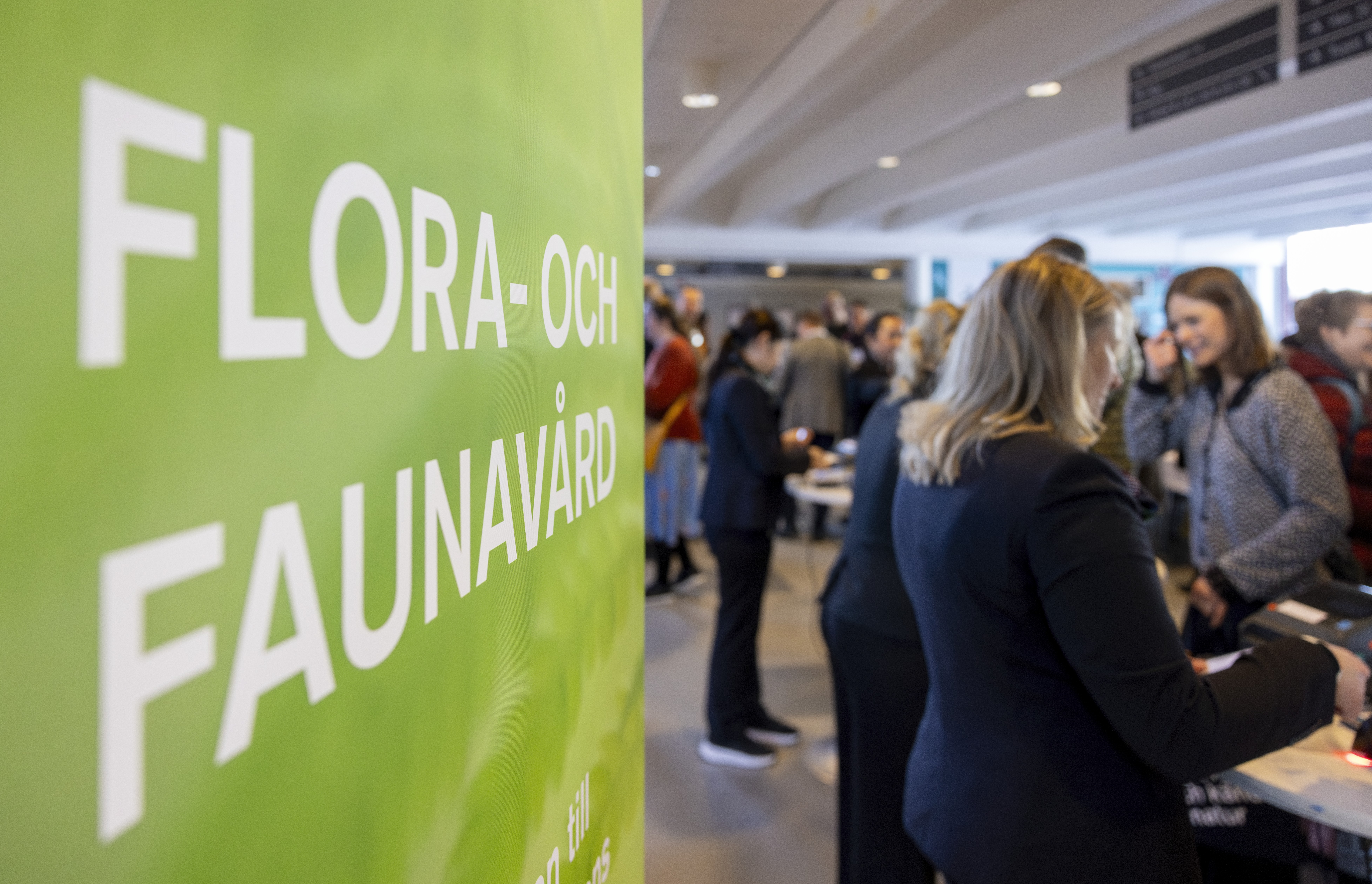 Mingelbild från konferens. Foto