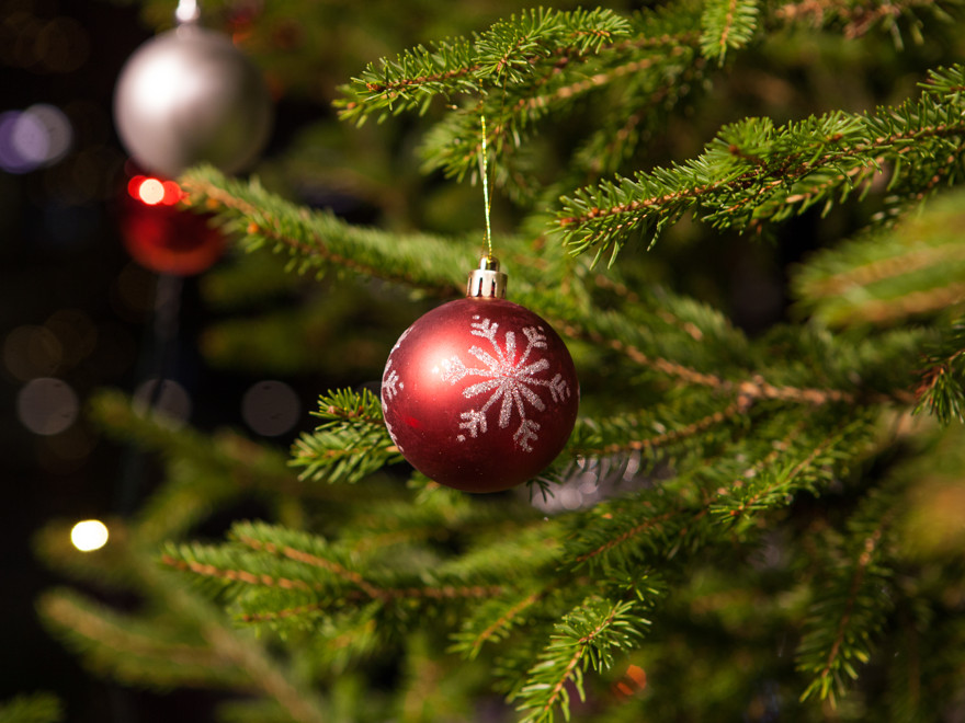 Christmas tree bauble and part of a Christmas tree. Photo.