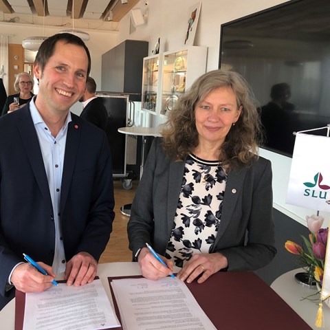 Kommunstyrelsens ordförande Erik Pelling (S) och SLU:s rektor Maria Knutson Wedel undertecknade på torsdagen ett samverkansavtal med fokus på hållbar samhällsutveckling. 