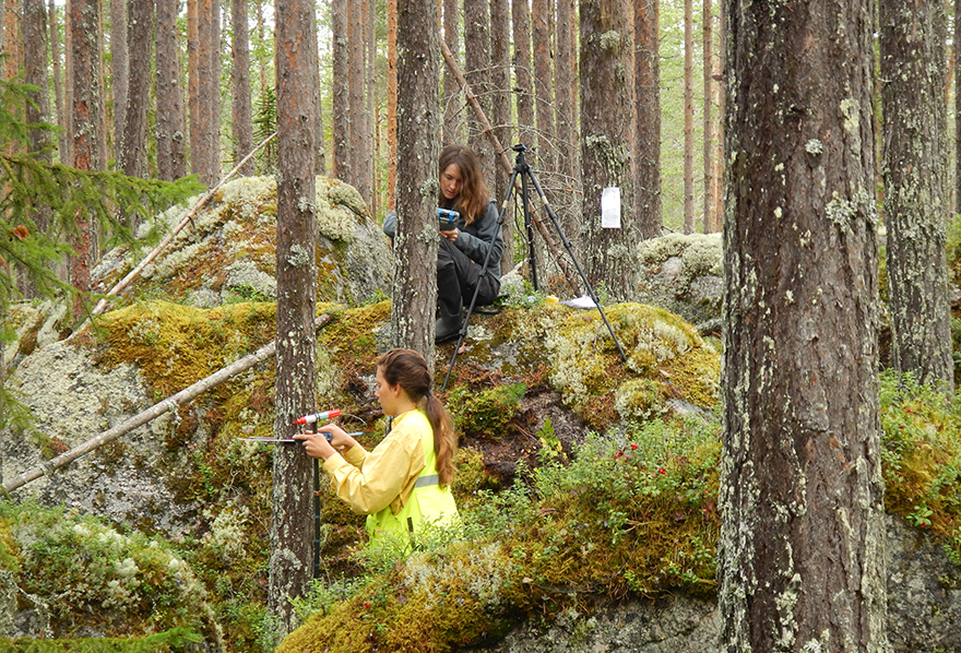 Inventering skog Foto Åke Bruhn-880x600.jpg