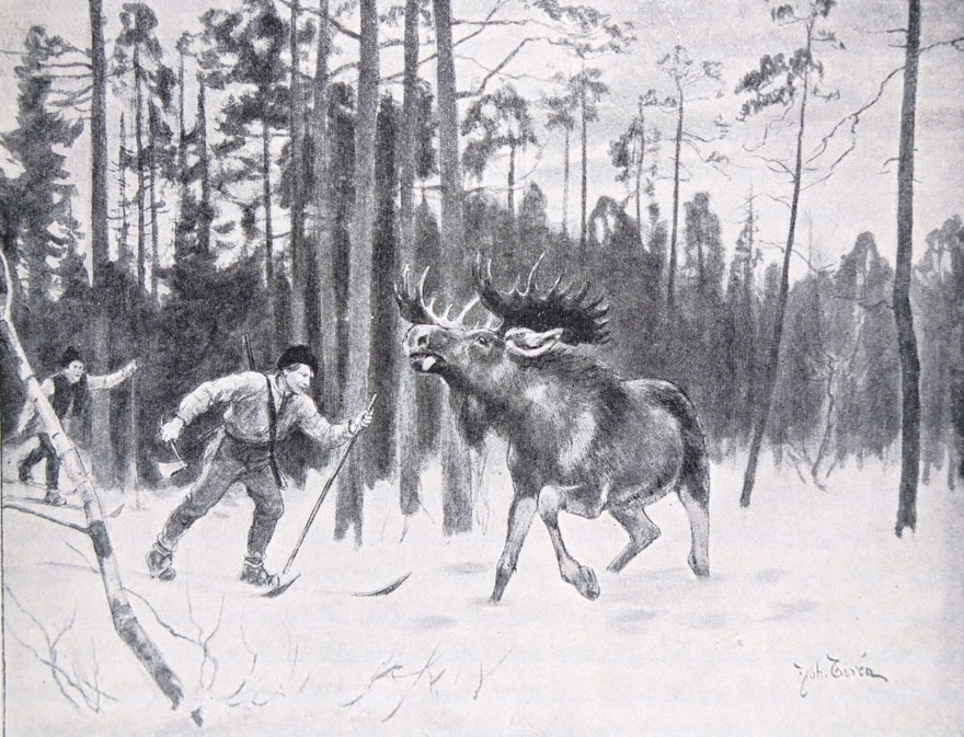 Illustration av man på skidor och yxa i handen som jagar älg.
