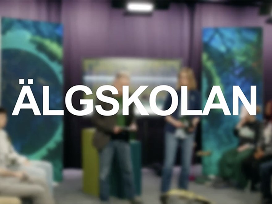 Skärmdump från Älgskolan TV med gymnasiet