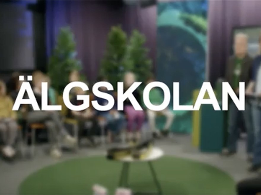 Skärmdump från Älgskolan TV med lågstadiet