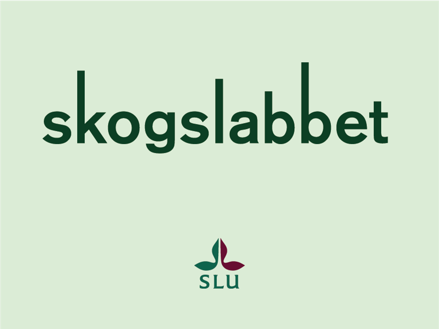 logo för skogslabbet