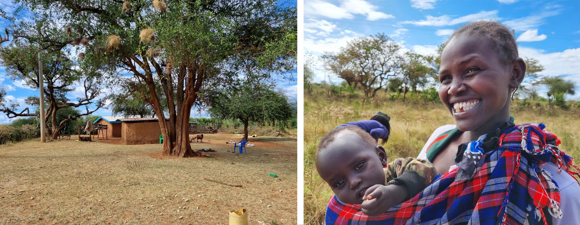 Two pictures, one of a house surrounded by big trees, one of a smiling woman with a child in a carrier shawl around her neck. 