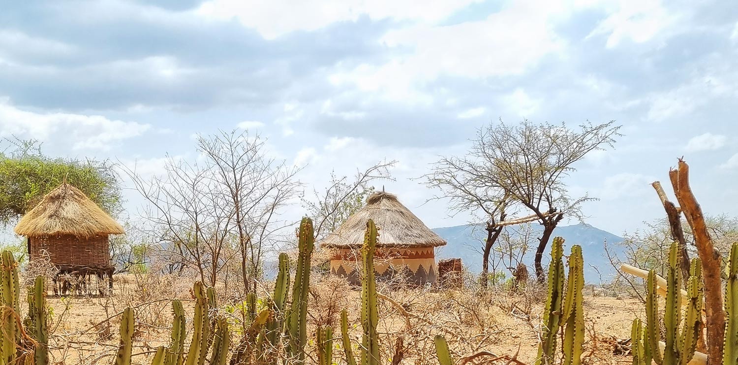 Picture of a few huts. Closest to the camera is a fence made of growing cacti and other bushes.
