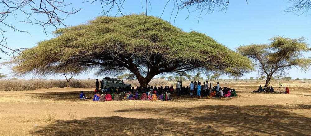 Picture of a huge tree with lots of people enjoying the shade beneath it.