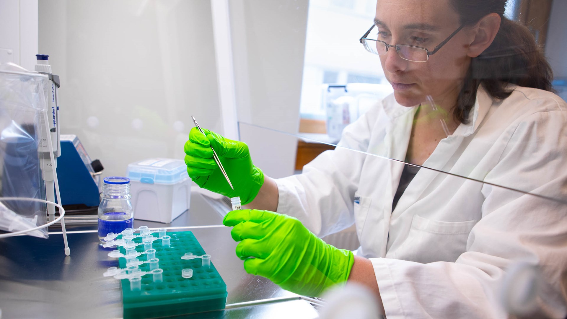 Picture of a person in a white lab coat and wearing green plastic gloves. The person sits by a fume cupboard picking something out from a test tube by using tweezers. 