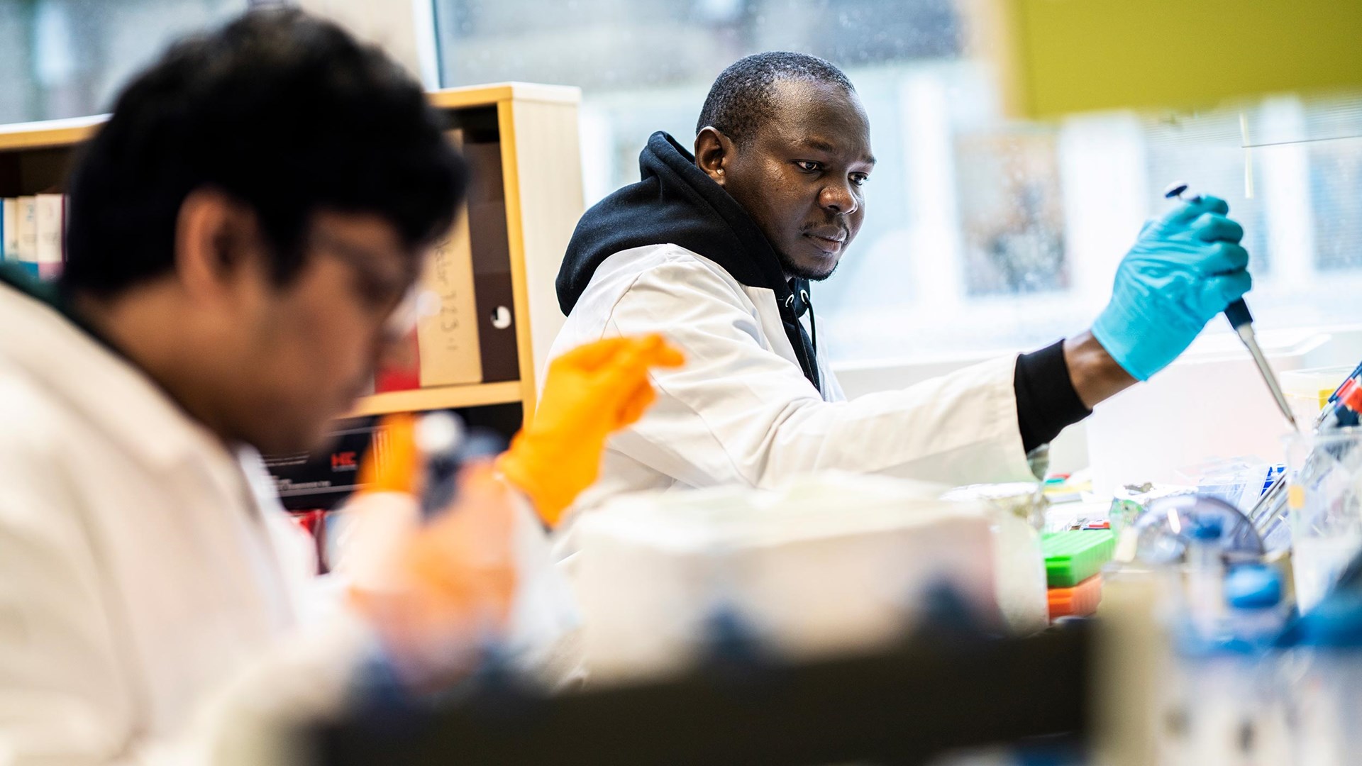Bild av två personer i vita rockar som sitter i ett labb och pipetterar. Fokus ligger på den bortre personen. Han tittar koncentrerat på det han håller på med. 