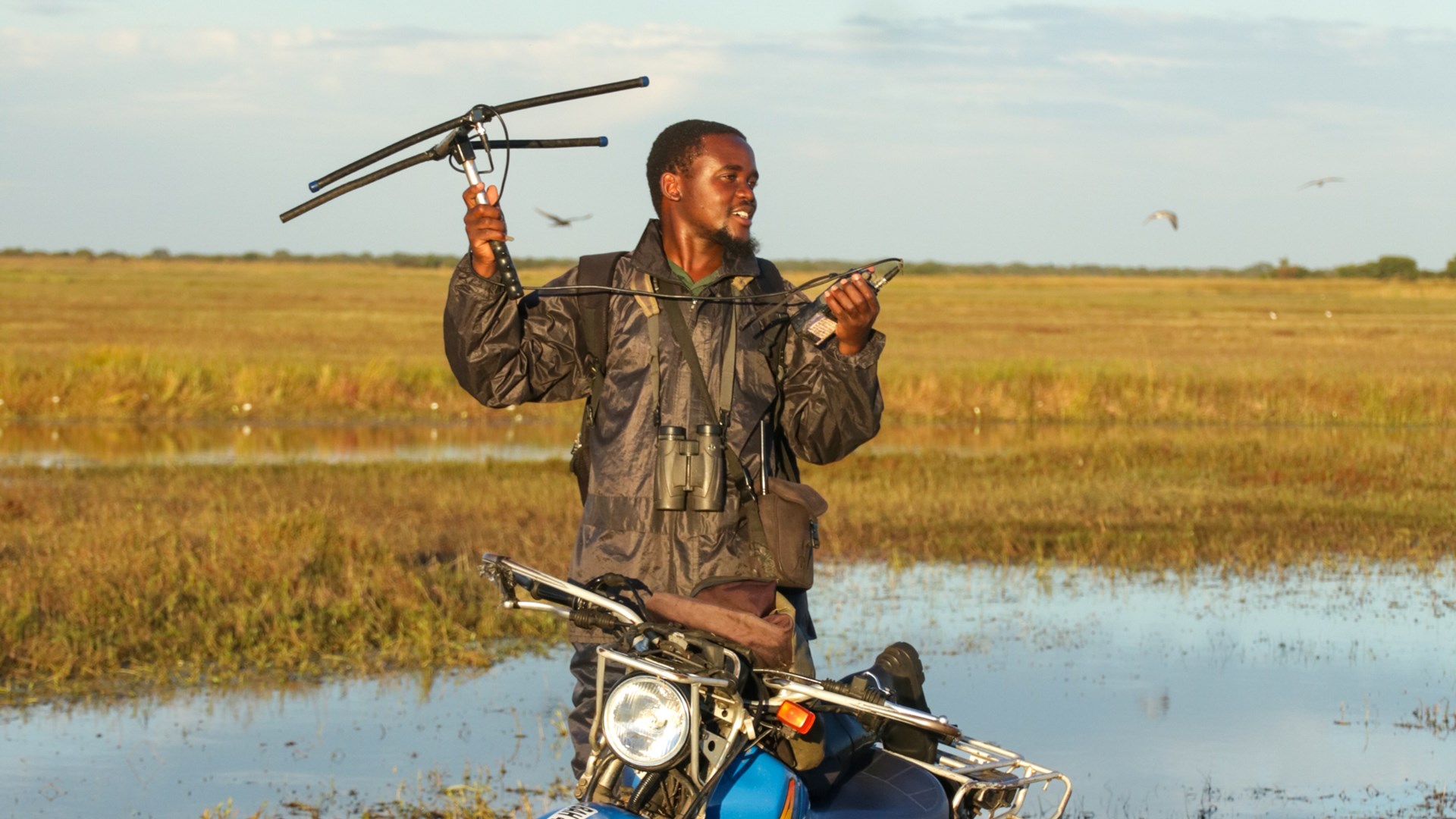 Man on motorbike holding a large antenna.