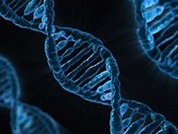 DNA. Foto: Pixabay