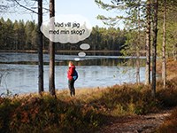 skog vid sjö. Foto: Tomas Lämås
