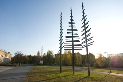 SLU Umeå. Foto: Jenny Svennås-Gillner