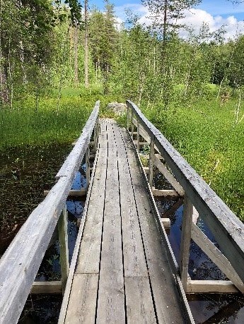 Recreational walking trail in Karlberg, Öjebyn