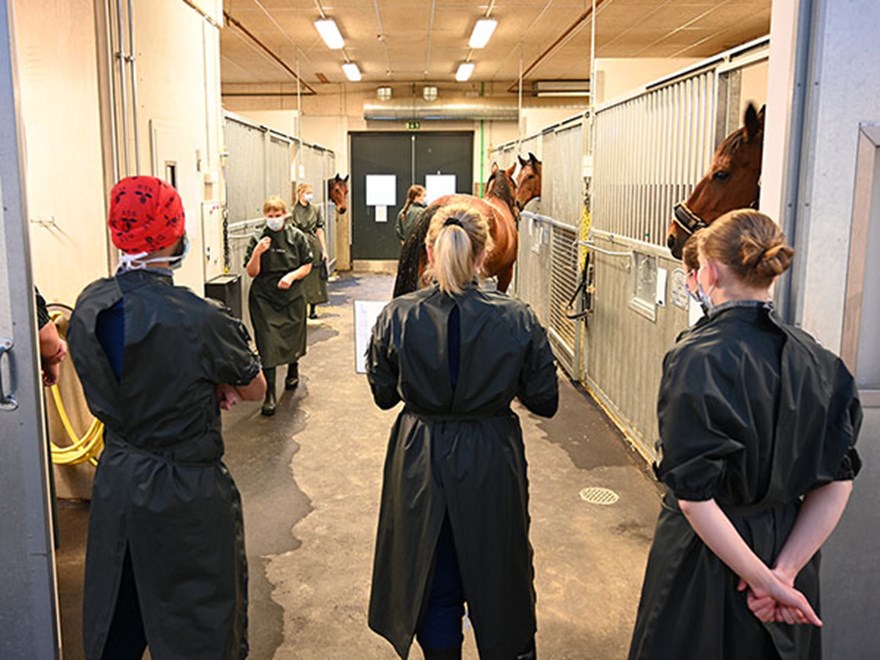 Studenter