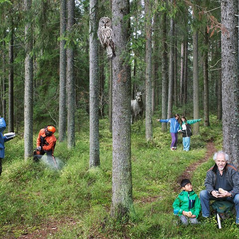 Personer som befinner sig i en skog