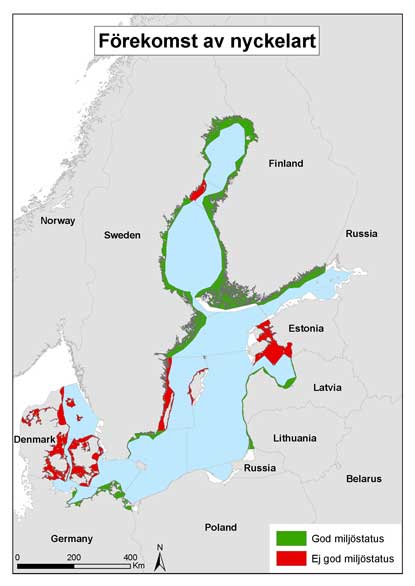 Karta över förekomst av nyckelart längs Östersjöns kuster. Källa: HELCOM 2015. Abundance of coastal fish key functional groups. HELCOM core indicator report. Online.