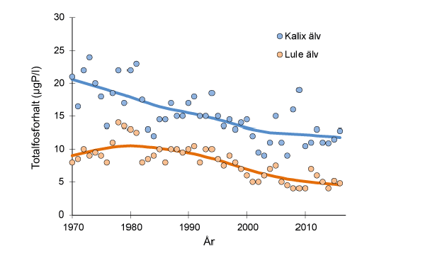 Totalfosforhalt i Kalix älv och Lule älv 1970-2016. Källa: MVM-miljödata.