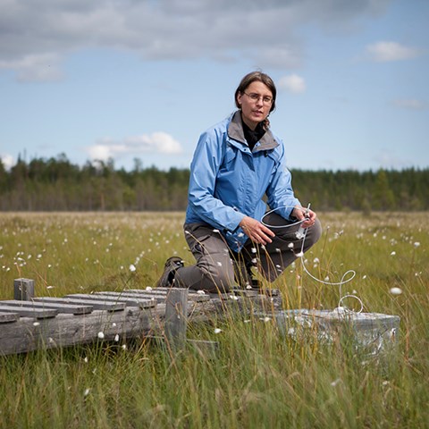 Pernilla Löfvenius mäter metanavgivning från Degerö stormyr. Foto: Jenny Svennås-Gillner, SLU