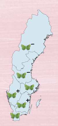 Trend för gräsmarksfjärilar 2006–2017. Källa: Dafne Ram, Svensk Dagfjärilsövervakning, SLU och länsstyrelserna.