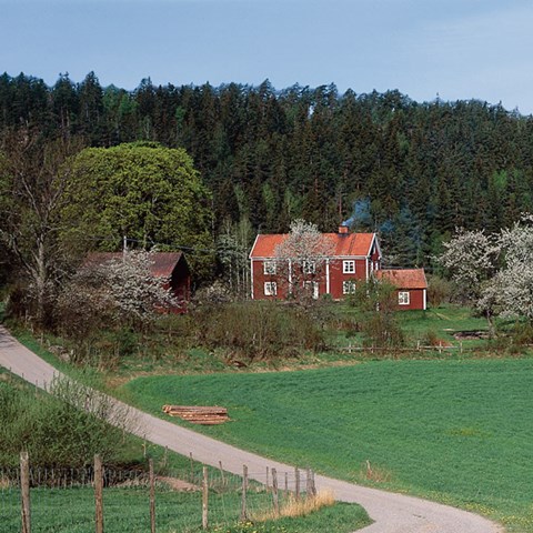 Jordbrukslandskap. Foto: Anders Järnmark, Myra