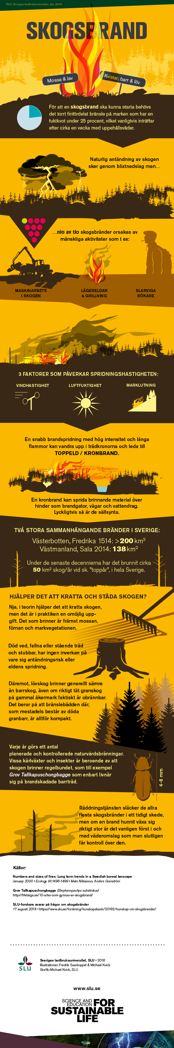 Infografik om skogsbrand