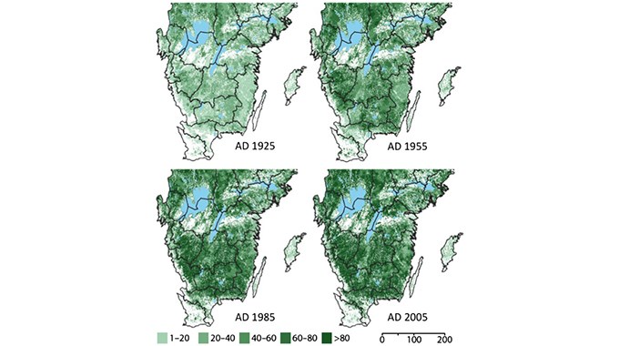 Spruce in southern Sweden over time.