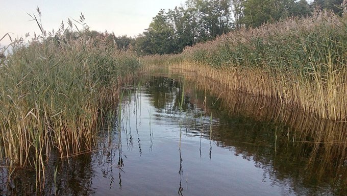 Vassgata. Foto.