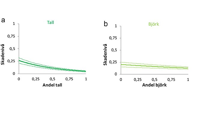 Figur 3. Sambandet mellan skadenivå av älg på tall som en funktion av (a) andelen tall och (b) björk i sex län i Sverige baserat på data från Äbin under åren 2015-2017.