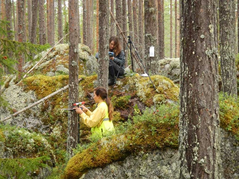 Skogsinventering. Foto.