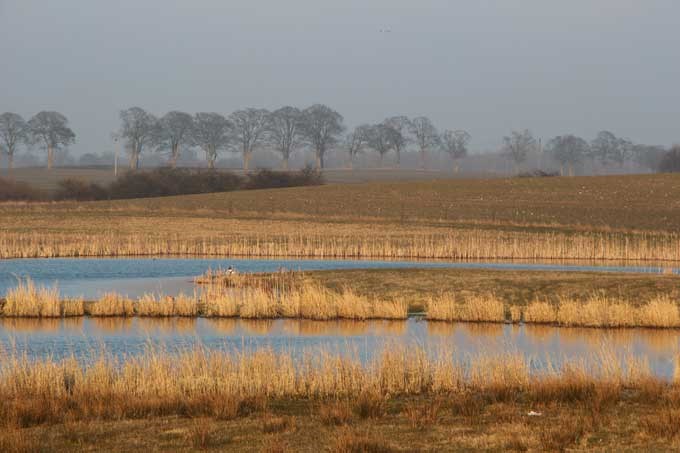 Agricultural landscape in Skåne, Photo.