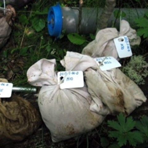 Fyra säckar med etiketter på skogsmark, foto.