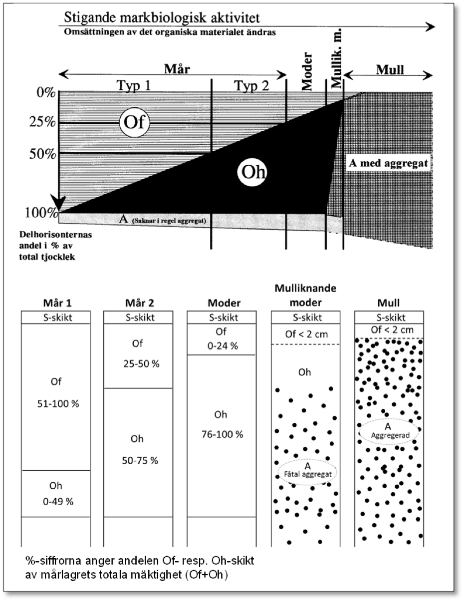 Ett diagram om biologisk aktivitet i marken, illustration.