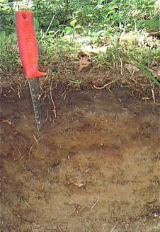 En jordprofil med en kniv med rött skaft bredvid, foto.
