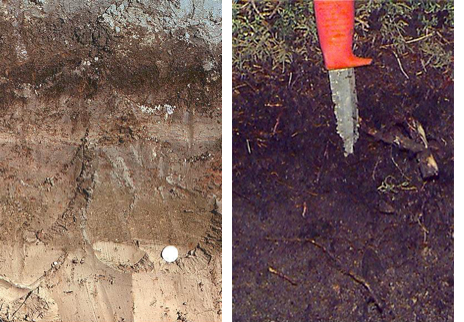 Två olika jordprofiler, en kniv med rött skaft vid den högra, foto.