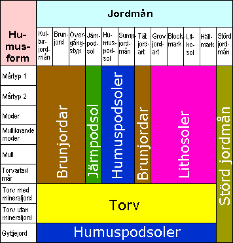 En tabell över humusformer och jordmåner, illustration.