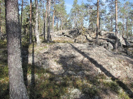 Berg och vissa andra impediment: Foto: Gunnar Odell