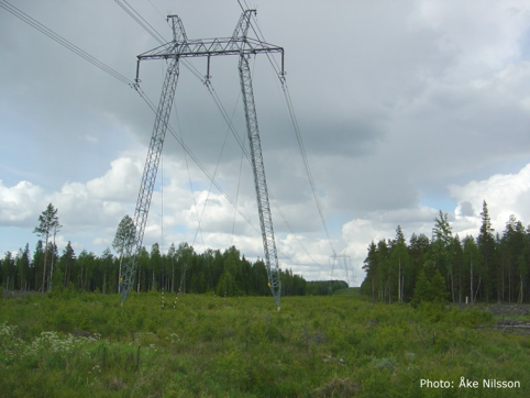 En stor kraftledning över en skog, foto.