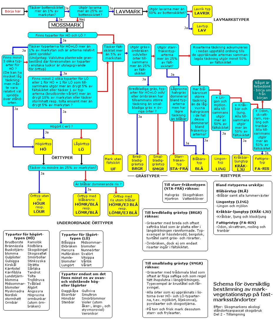 Ett schema för översiktlig bestämning av markvegetationstyp, illustration.